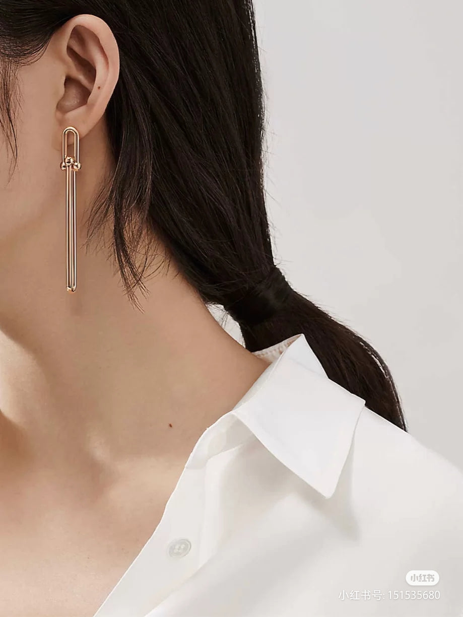 [Marins]HARDWEAR DOUBLE LONG LINK EARRINGS