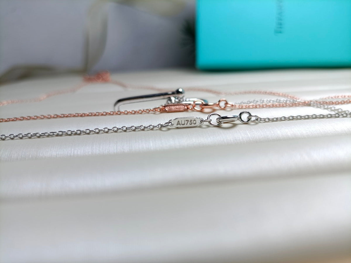[Marins]HARDWEAR DROP DOUBLE LINK PEDANT NECKLACE