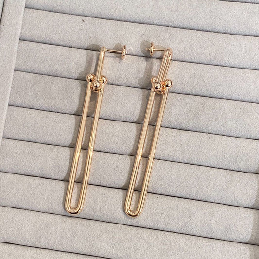 [Marins]HARDWEAR DOUBLE LONG LINK EARRINGS